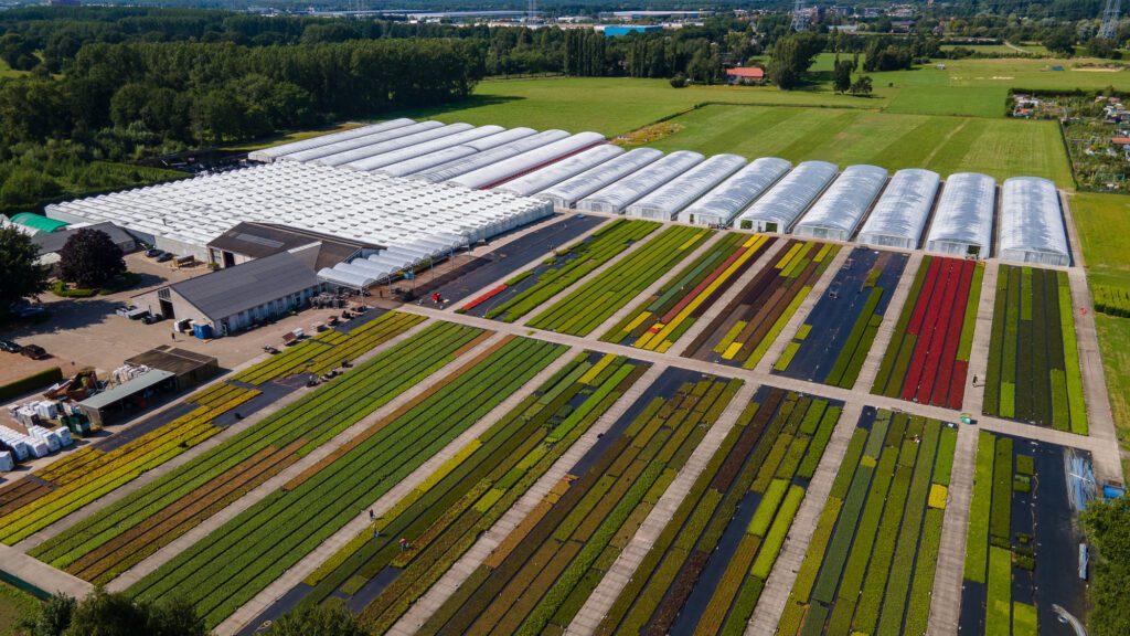 Ergon Kwekerij gezien vanuit de lucht met het kleurrijke containerveld, de planttunnels, kassen, loodsen en het parkeerterrein.