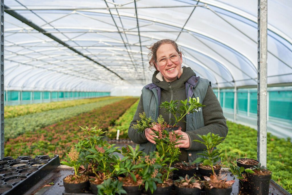Medewerkster Ergon Kwekerij verzorgt plantjes in de tunnelkas