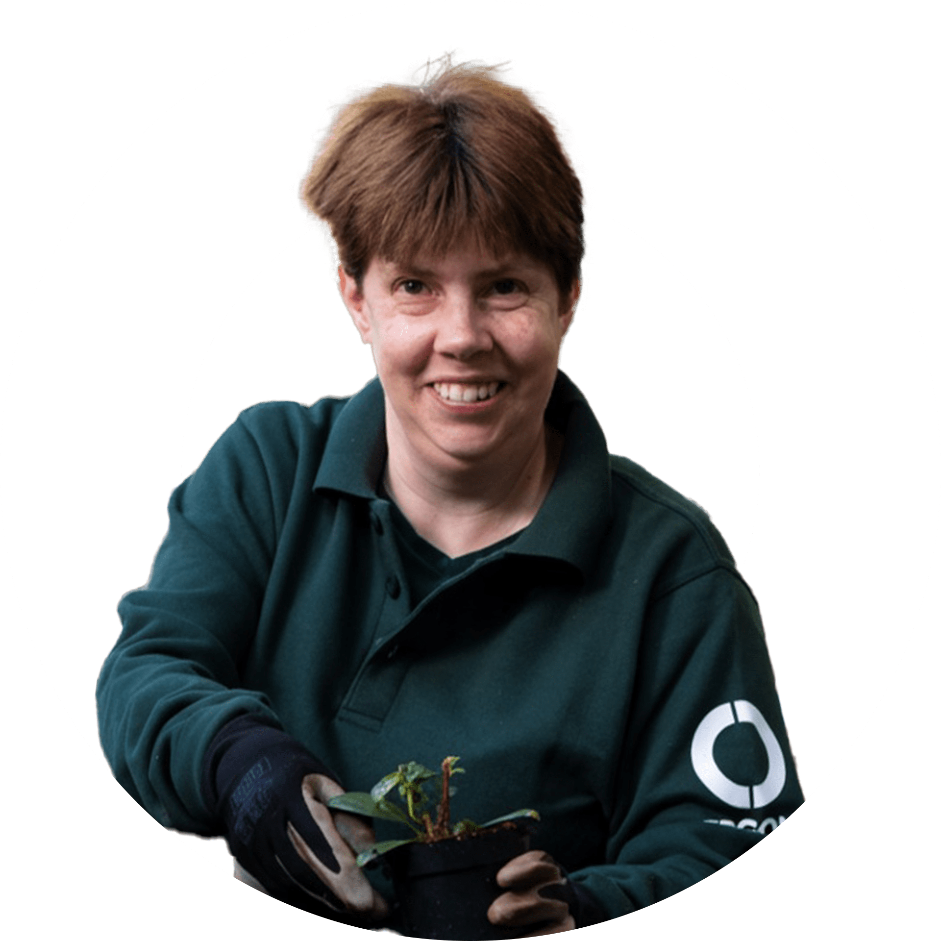 Een grafische bewerking van een medewerker van Ergon Kwekerij in het Ergon beeldmerk.