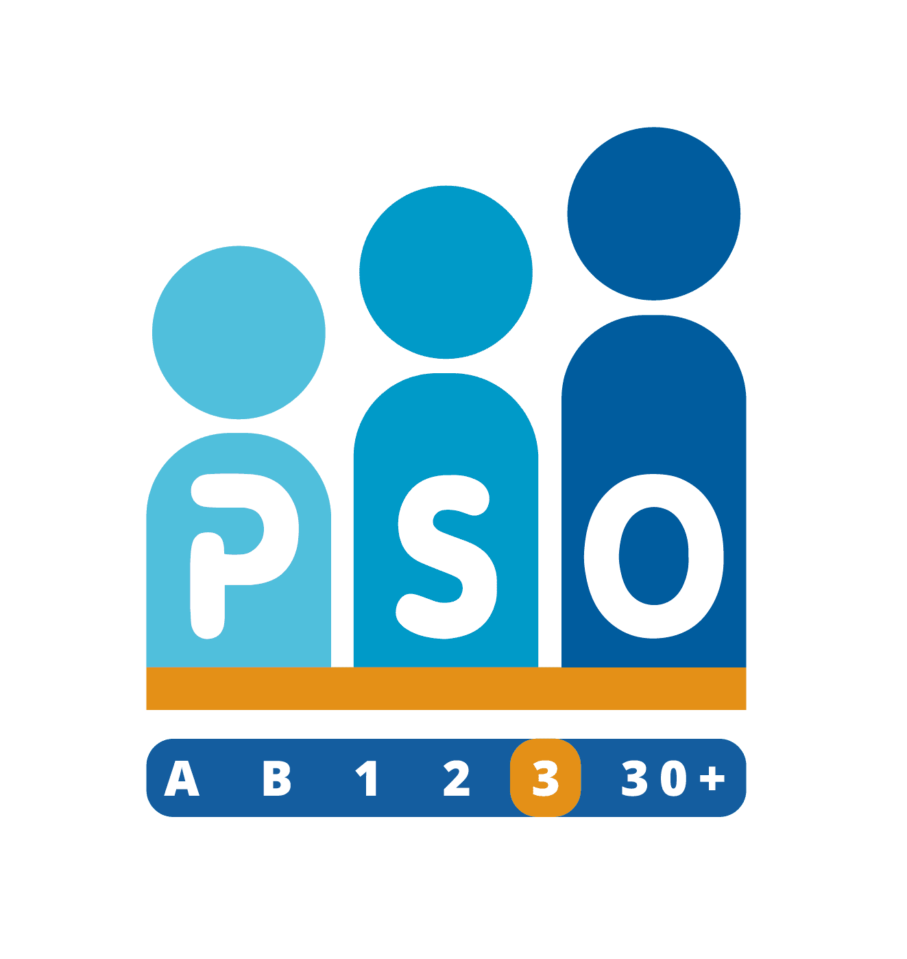 PSO Nederland certificering trede 3